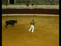 videos de Alejandro el toreador