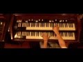 Ver Video