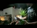 videos de NXZero - Virada 2008 / 2009