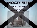 Bajnóczy Ferenc "Remekel a bicska"(Fafaragó művész)