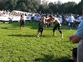 Turkish Oil Wrestling