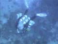 136 meters. Blue Hole. Dahab