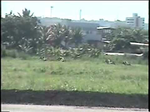 Imagem de Amostra do You Tube