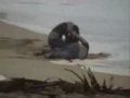Porrada na praia