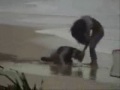 Porrada na praia