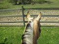 me riding rolie.