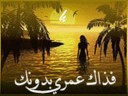 egypy-cairo egypy-cairo