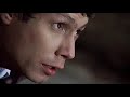 Звери – Районы кварталы