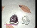 Anillo Mora - Abalorios.es -