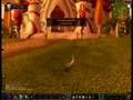 Best Paladin! LOLADIN!