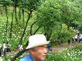 ところざわ　ゆり園　華麗なる花々の競演