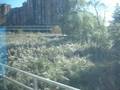 Passing by the Meadowlands