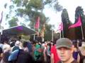 kiss my grass 2007