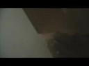 jims randumstuff 5