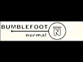 Bumble Foot- Normal