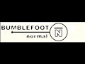 Bumble Foot- Normal