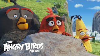 Angry Birds,le film - Bande-annonce #2 -  VO