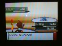Pokemon Platinum Gym Maylene
