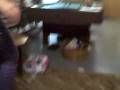 videos de katherine and emily being stupid