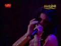 Haifa Wehbe Live