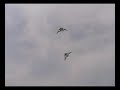 Trick with Silverfox 2.5 UL icarex