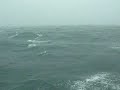 Ferry from Phuket to Phi Phi