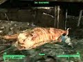 Pushing the brahmin Pushing the brahmin