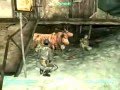 Pushing the brahmin