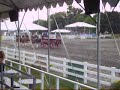 Clydesdale Ridge At the NJ State Fair