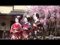 桜の名所関西2012②京都祇園･円山公園･清水寺