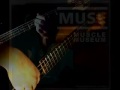 Muse - Muscle Museum Bass Cover.mp4