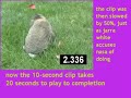 Jarrah White says 150% of .5 is 1