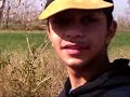 Gray partridge hunting (Pakistan) Gray partridge hunting (Pakistan)