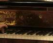 Waldstein Aurora - Fortepiano - 2 - Adagio molto