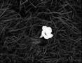 Can Atilla - hamamda ilk g�zya�lar�