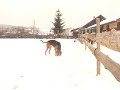 śnieg 012