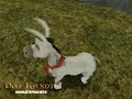 trailer-donkey-xote-mxico.html