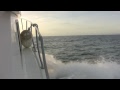 Sport Fishing in Cabo