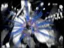 videos de flowerswith ja.mpg