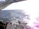 videos voile