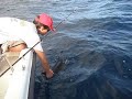 jigging in martinique