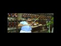 Vassil Lolo at Animato Violins Gold Coast branch
