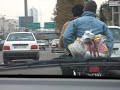 Driving in Iran 2007 - Tehran