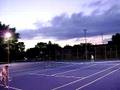 Windom Tennis