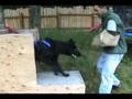 Ophir Lytle vom Klatolklin FOR SALE/BOX&BITESUIT