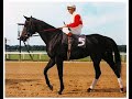 The Story Of Ruffian The Story Of Ruffian