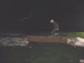 shreding shreding