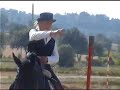 Murgese in Monta da Lavoro,WORKING EQUITATION. Murgese in Monta da Lavoro,WORKING EQUITATION.