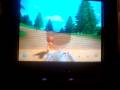 Wii Fit Island Distance Run Secret