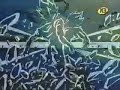 amv-vegetto vs majin buu